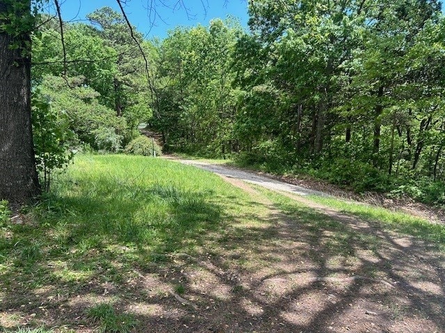 191 NC-6015, Jasper, AR 72641 - view of road with a view of trees