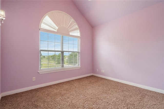 120 Wesley Stevens Rd, Farmington, AR 72730 - photo 29