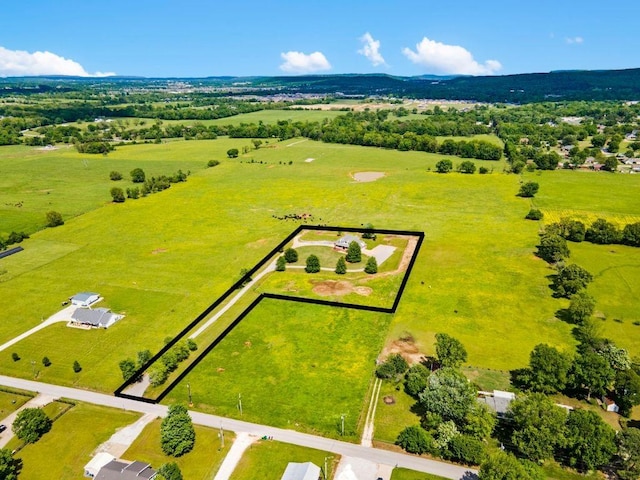 120 Wesley Stevens Rd, Farmington, AR 72730 - photo 38