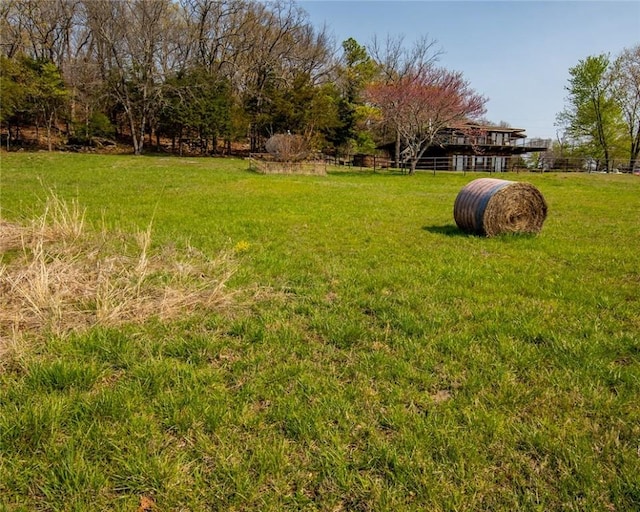 315 N Letitia Ave, Fayetteville, AR 72701 - view of grassy yard