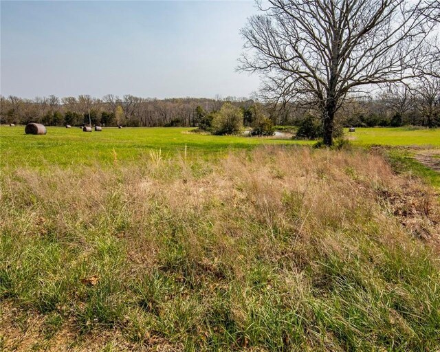 315 N Letitia Ave, Fayetteville, AR 72701 - view of nature with rural landscape