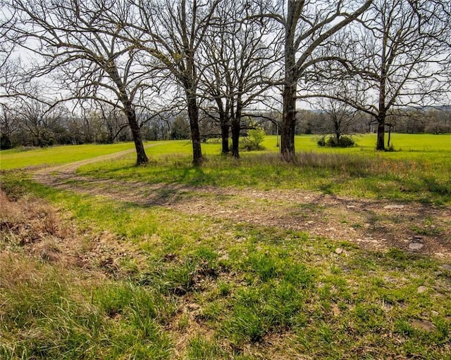 315 N Letitia Ave, Fayetteville, AR 72701 - photo 51
