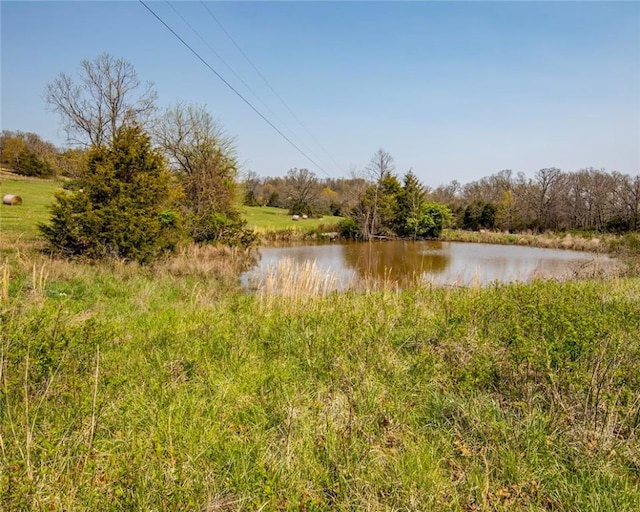 315 N Letitia Ave, Fayetteville, AR 72701 - water view