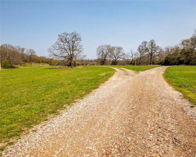 315 N Letitia Ave, Fayetteville, AR 72701 - view of dirt / gravel road