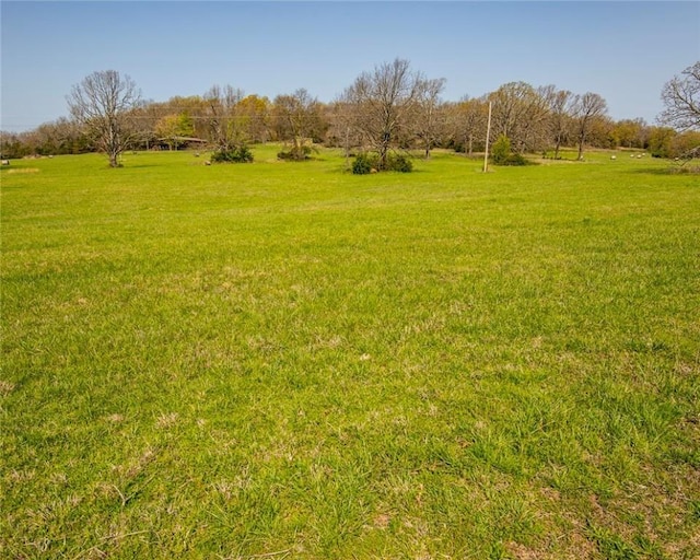 315 N Letitia Ave, Fayetteville, AR 72701 - view of grassy yard with a rural view
