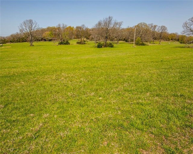 315 N Letitia Ave, Fayetteville, AR 72701 - photo 4