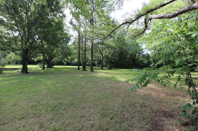 602 Centennial Ave, West Fork, AR 72774 - view of yard