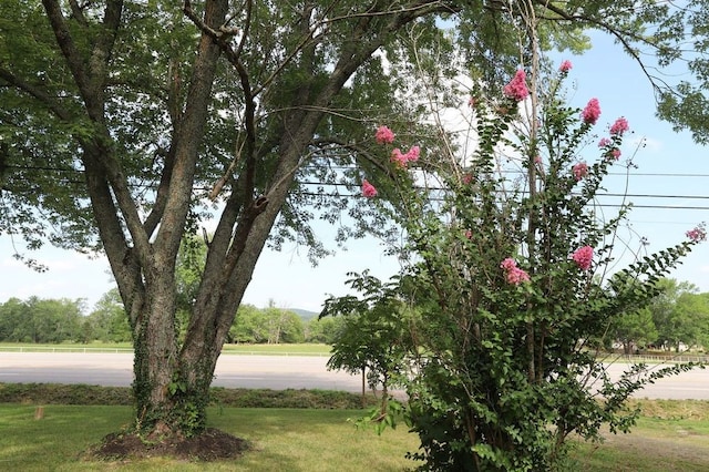 602 Centennial Ave, West Fork, AR 72774 - exterior space with a yard