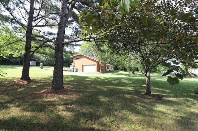 602 Centennial Ave, West Fork, AR 72774 - view of yard