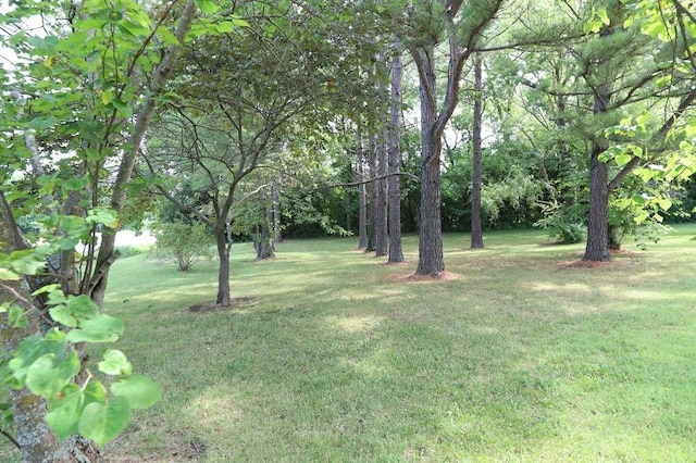 602 Centennial Ave, West Fork, AR 72774 - view of yard