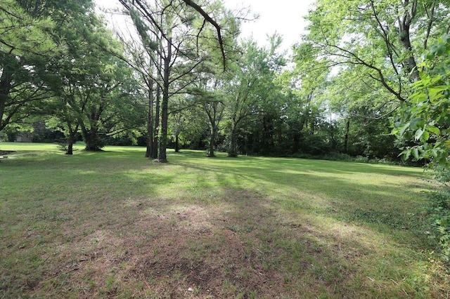 602 Centennial Ave, West Fork, AR 72774 - view of yard