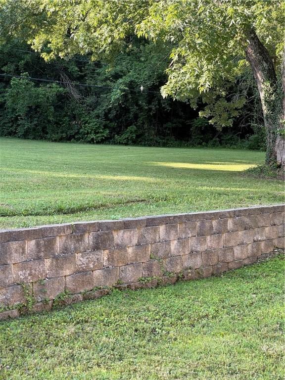602 Centennial Ave, West Fork, AR 72774 - view of yard