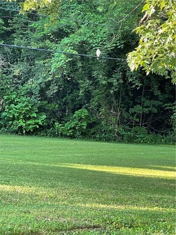 602 Centennial Ave, West Fork, AR 72774 - view of yard