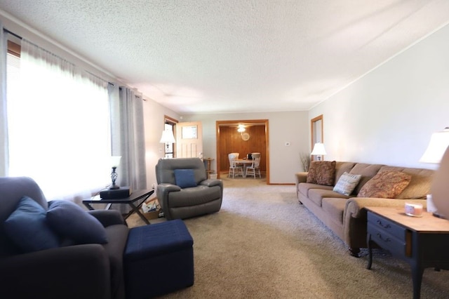 602 Centennial Ave, West Fork, AR 72774 - carpeted living room with a textured ceiling