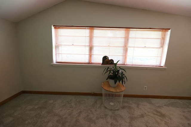 602 Centennial Ave, West Fork, AR 72774 - carpeted spare room with baseboards and vaulted ceiling