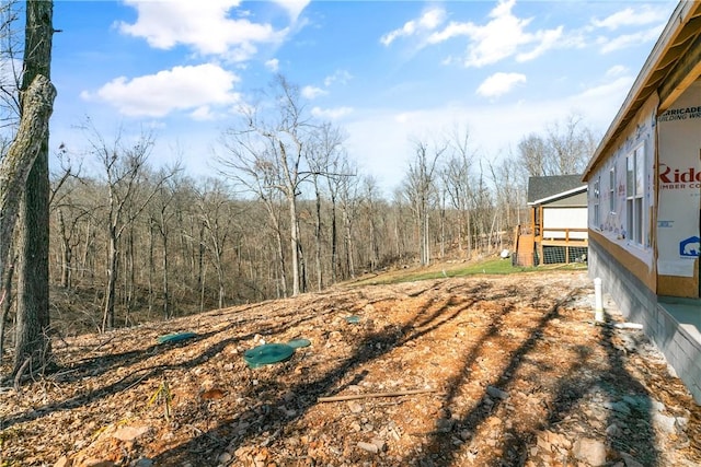 29 Selkirk Dr, Bella Vista, AR 72715 - photo 12