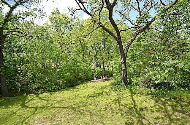 42 Sable Dr, Bella Vista, AR 72715 - view of yard featuring a view of trees
