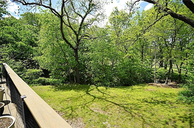 42 Sable Dr, Bella Vista, AR 72715 - view of yard