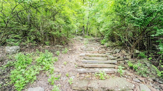 2341 N Fox Trl, Fayetteville, AR 72703 - view of landscape