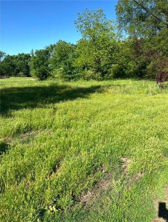 208 Crumpler St, Altus, AR 72821
