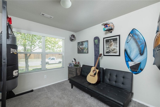 2300 Double Bogey Ln, Farmington, AR 72730 - sitting room with baseboards, visible vents, and carpet floors