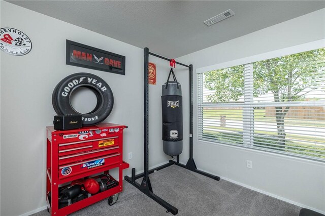 2300 Double Bogey Ln, Farmington, AR 72730 - workout room featuring carpet flooring, baseboards, and visible vents