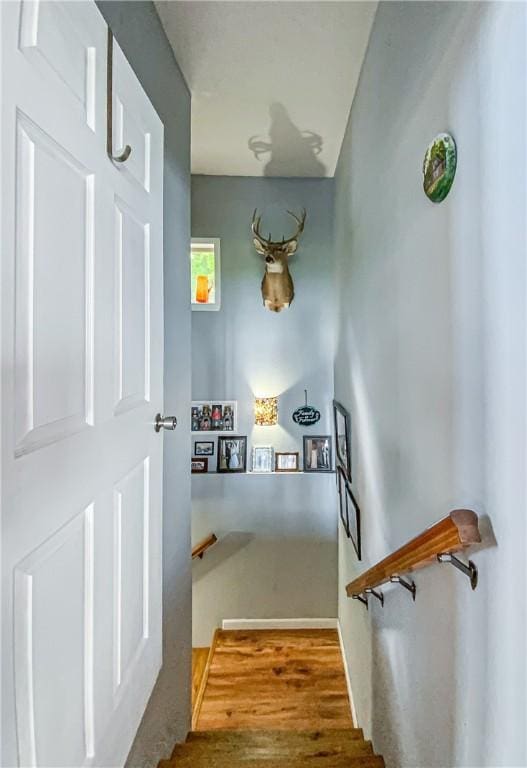 stairway with baseboards and wood finished floors