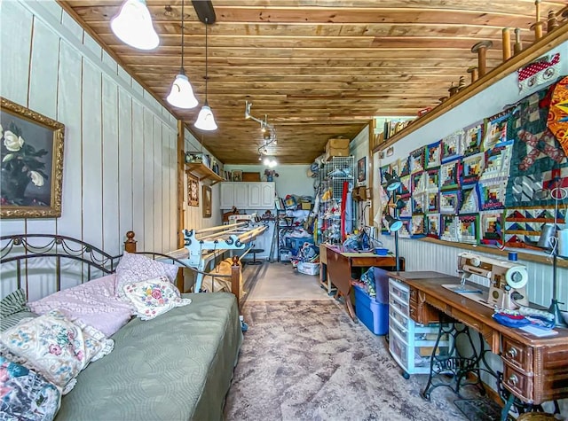 basement featuring wooden ceiling, rail lighting, and wood walls