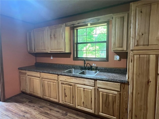 kitchen with dark countertops, dark wood finished floors, and a sink