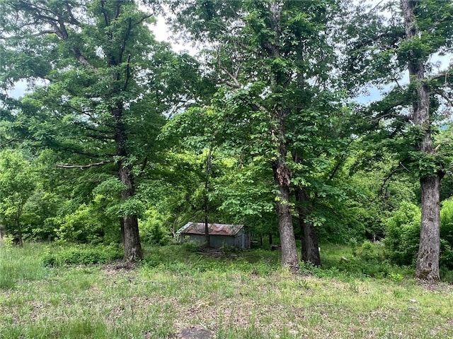 view of yard featuring a view of trees