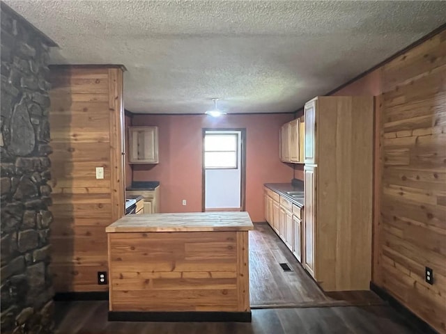 kitchen with dark wood finished floors and a textured ceiling