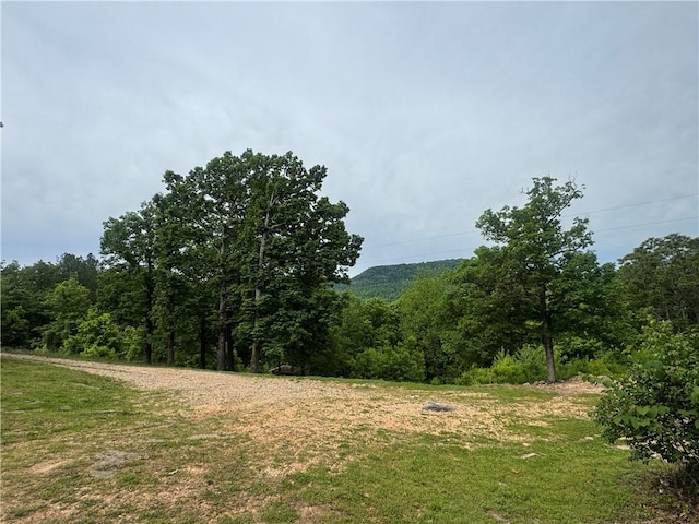 view of landscape with a wooded view