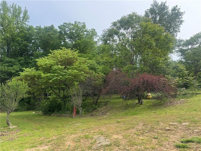 view of nature