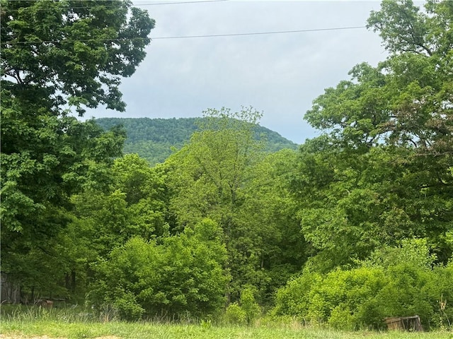 view of mountain feature featuring a forest view