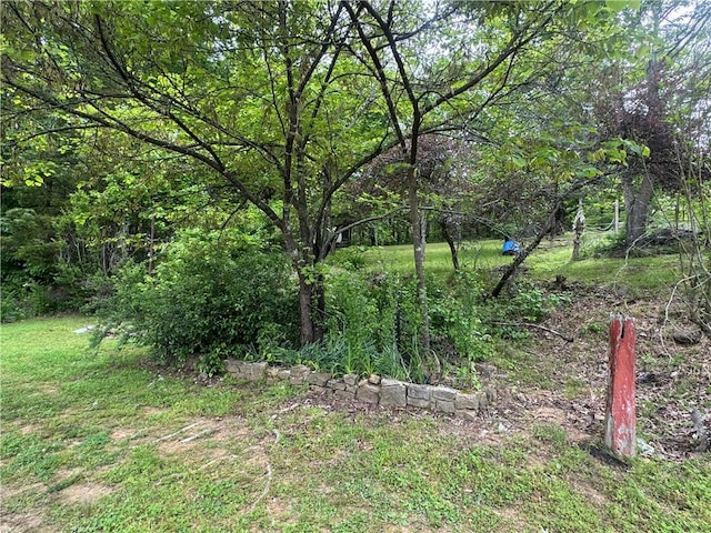 view of yard featuring a forest view