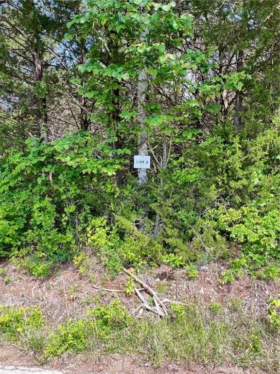 TRACT2 Hammerschmidt Rd, Lead Hill, AR 72644