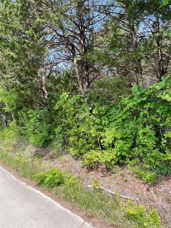 TRACT2 Hammerschmidt Rd, Lead Hill, AR 72644