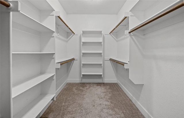 252 Forza Ln, Tontitown, AR 72762 - spacious closet featuring carpet flooring
