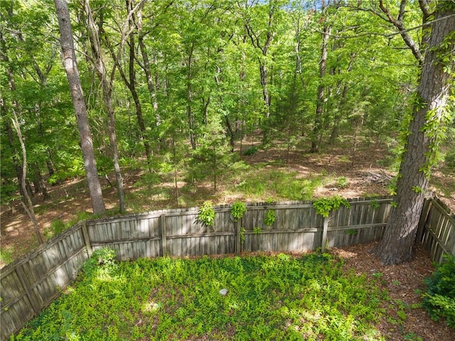 5 College St, Eureka Springs, AR 72632 - view of yard