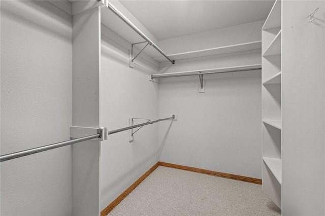 4 Tisbury Ln, Bella Vista, AR 72715 - walk in closet with carpet floors