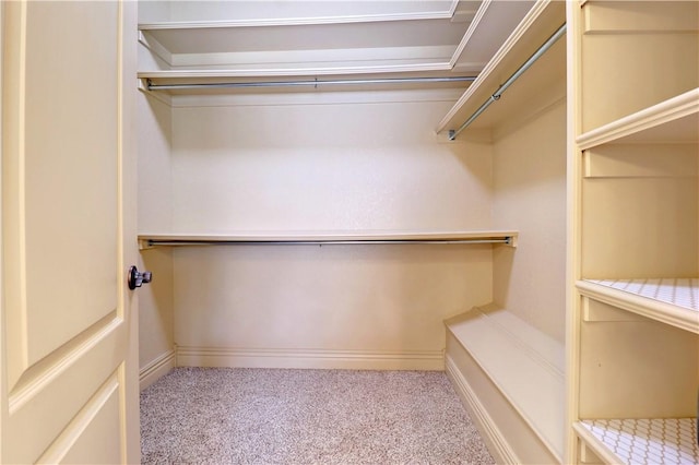 walk in closet with carpet