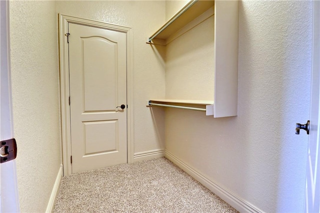 spacious closet featuring carpet