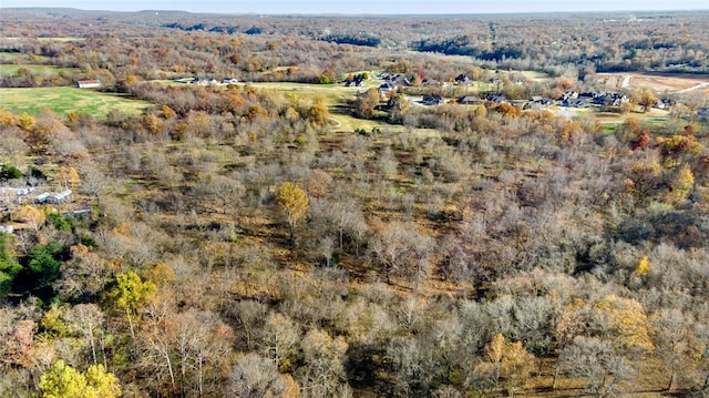 10.83AC Captain Miller Blvd, Pea Ridge, AR 72751