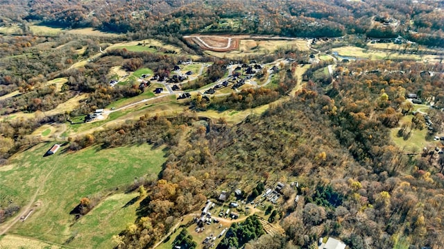 10.83AC Captain Miller Blvd, Pea Ridge, AR 72751
