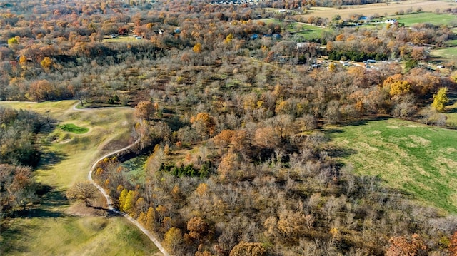 10.83AC Captain Miller Blvd, Pea Ridge, AR 72751