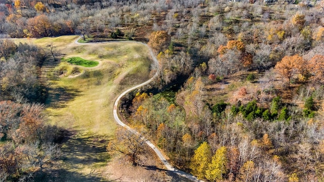 10.83AC Captain Miller Blvd, Pea Ridge, AR 72751