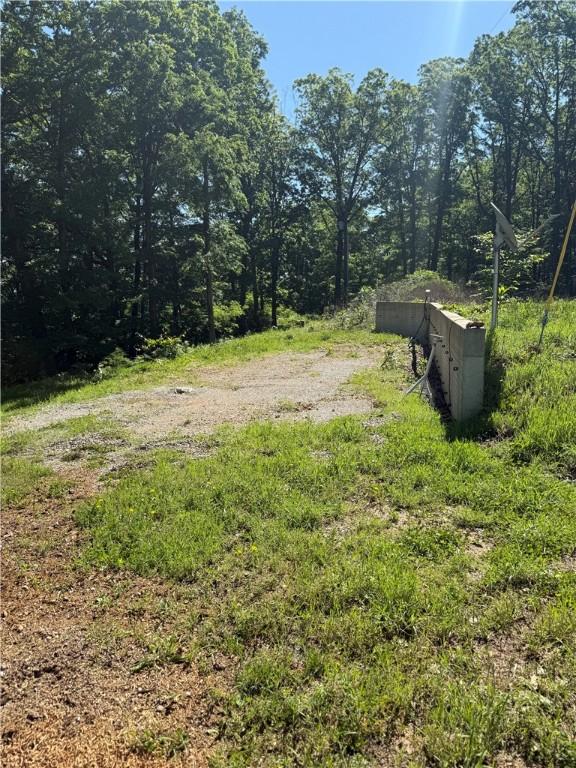 2132 County Road 246, Berryville, AR 72616 - view of yard