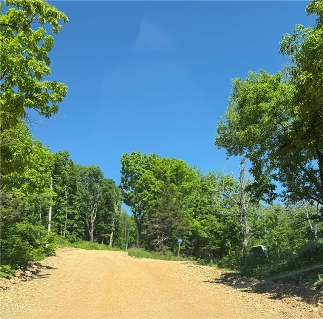 2132 County Road 246, Berryville, AR 72616 - view of landscape with a wooded view