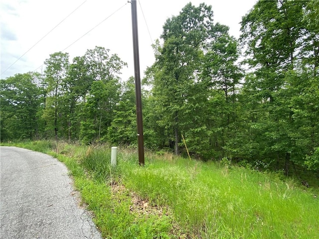 LOT20 Haddington Dr, Bella Vista, AR 72715 - photo 3
