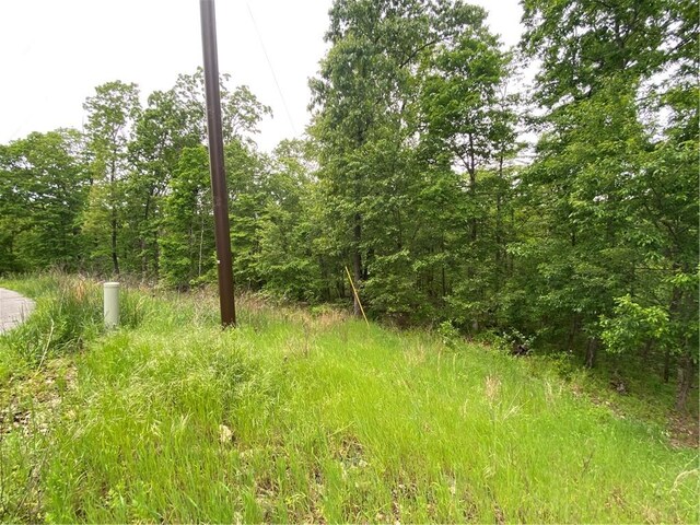 LOT20 Haddington Dr, Bella Vista, AR 72715 - photo 4